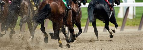 Sunland Park Racetrack and Casino – Slot Machines & Horse .